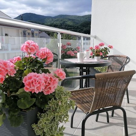 Ferienwohnung Svjetlanalex 2 Banja Koviljača Exterior foto