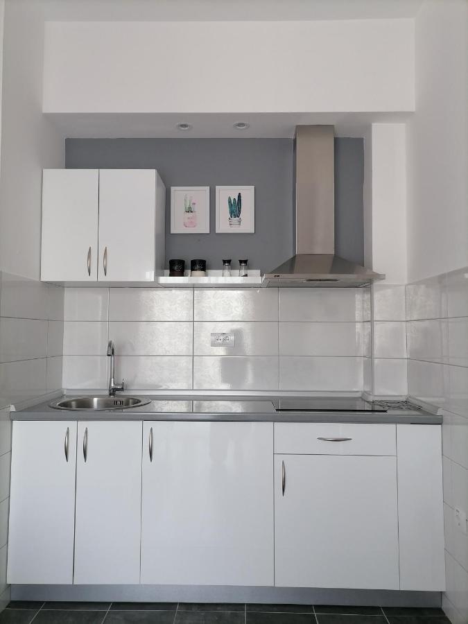 Ferienwohnung Svjetlanalex 2 Banja Koviljača Exterior foto