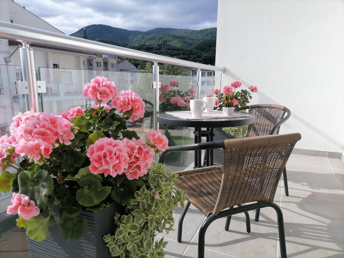 Ferienwohnung Svjetlanalex 2 Banja Koviljača Exterior foto